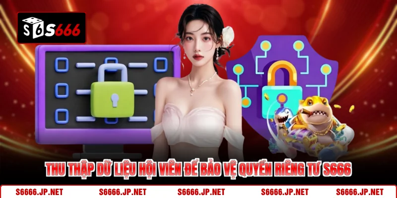 Thu thập dữ liệu hội viên để bảo vệ quyền riêng tư S666